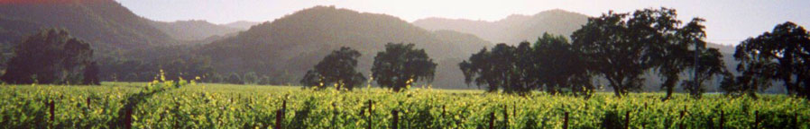 home page image